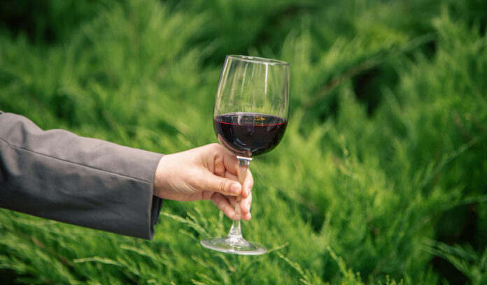 A Beginners Guide to Bordeaux Wine