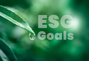 how to implement ESG